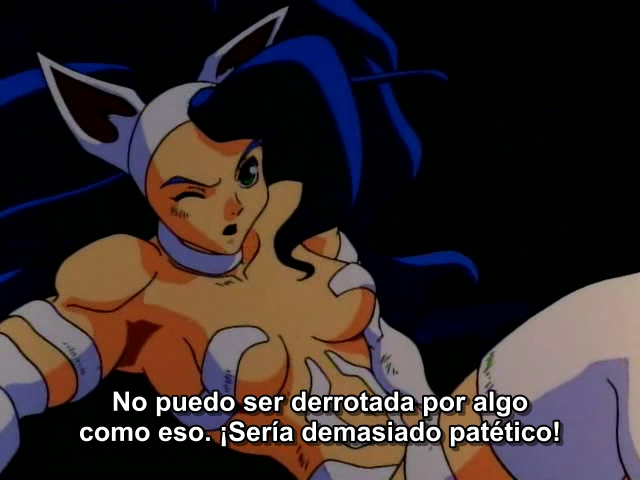 Vampire Hunter (Anime Seiden)